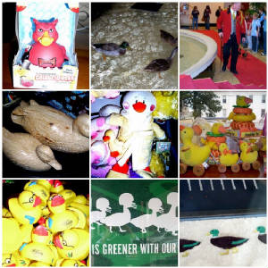 duckmosaic.jpg